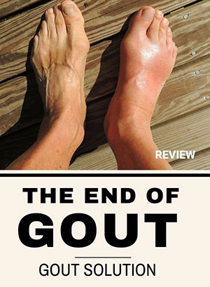 The End of Gout