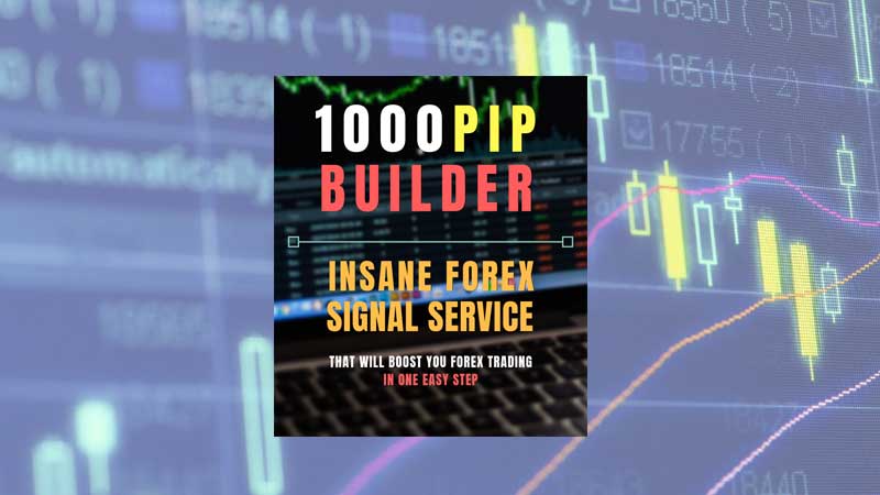 1000PIP Builder Reviews