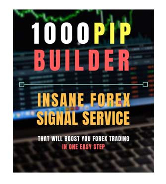 1000PIP Builder Review