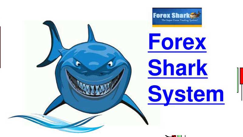 Forex Shark Reviews