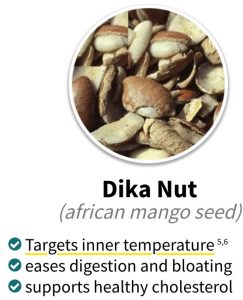 Extract of African Mango