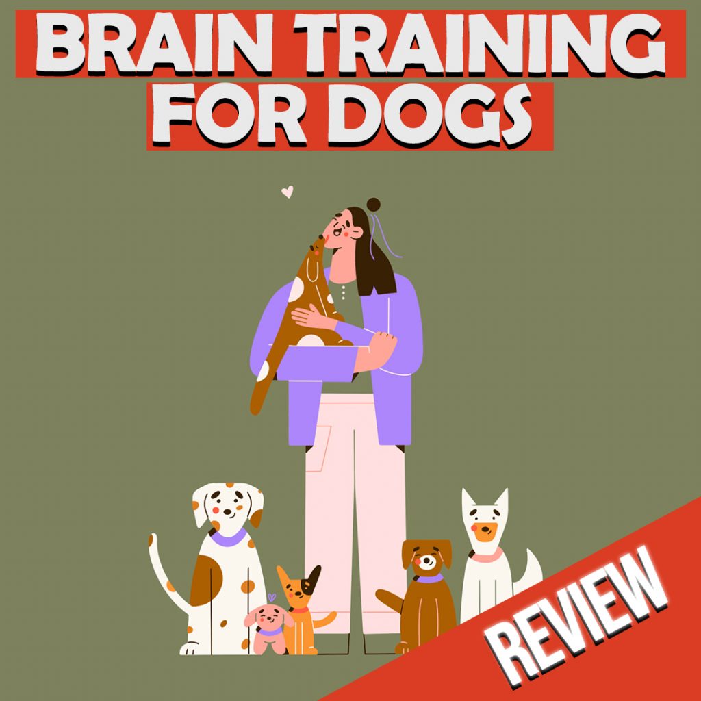 Dogs mind training